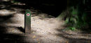 This way