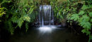 Wee waterfall