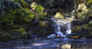 Mini waterfall