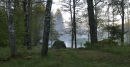 Misty morning