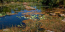 Wilderness oasis