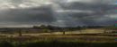 Fields of Gold
