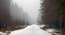 Wilderness Road