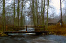 The wooden bridge