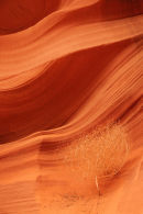 Antalope Canyon