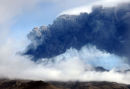 'Ash Rain'