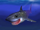Mr Sharky