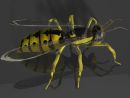 Wasp