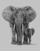 pencil elephants 