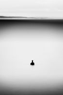 All Alone