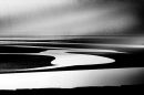 Morecambe Bay, Study 2