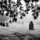 Church Yard