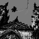 Last Leaf, York Minster