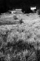 Pink farm, white farm
