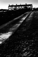 Springbank Farm track