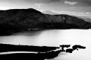 Surprise view, Derwent Water
