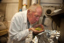 Savouring Hops