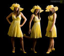 Fashion