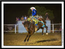 Rodeo