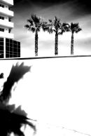 018-1 (3)