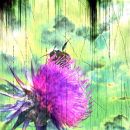 Botanicart 4