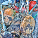 Buoys & Ropes 4-1