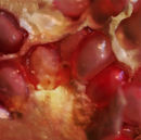 Cosmic Pomegranate