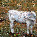 Mosaicow