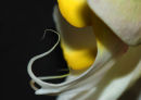 Orchid 001