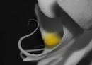Orchid 011