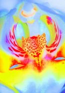 Orchid 012