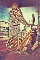 Propeller 01