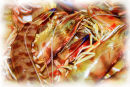 Soul Kitchen (4)