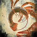 Spin Lobster 1