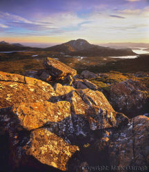 Dawn, King William Range