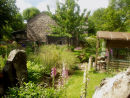 House and garden