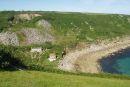 Lamorna top view