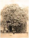 1871-La-Rue-des-Frere-w