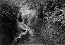 63s-Moulin-Huet