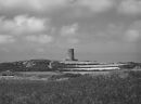 AL-98w-forti