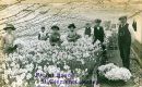 Flora-Farm-colour