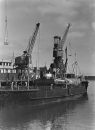 G-374w-Roebuck