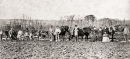 Guernsey Farming Family