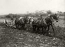 Ploughing
