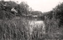 The Lake, Saumarez Park 