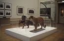 Installation view, solo exhibition 'The Dioramist', Nottingham Castle Museum & Art Gallery