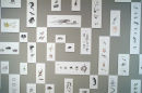 'Classification/Organisation', in 'Thinking the Unthinkable' (Detail)