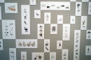 'Classification/Organisation' (Detail)