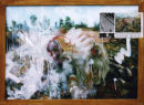Image {Image}