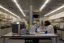 UCL Cancer Institute